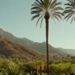 Paradise Valley Resorts: Opciones de Lujo en Scottsdale, Arizona