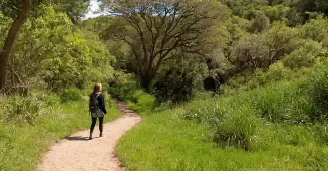 Sophie exploring the diverse landscape and wildlife in Aqua Linda Park with helpful guidelines on how to explore it offered nearby.