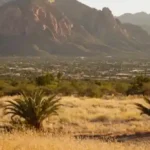 Diferencias de costo y estilo de vida entre Arizona y California