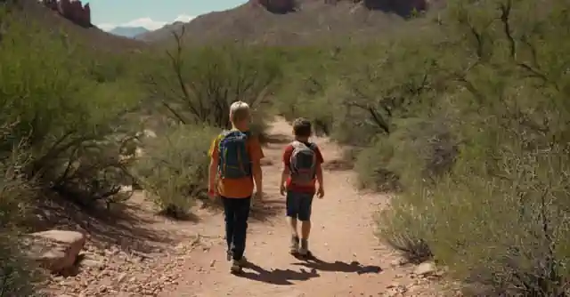 Children hiking on the Pásatelo en grande, an accessible nature trail in a vibrant Arizona desert.