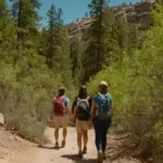 Senderismo en familia: Blue Wash Trail con niños