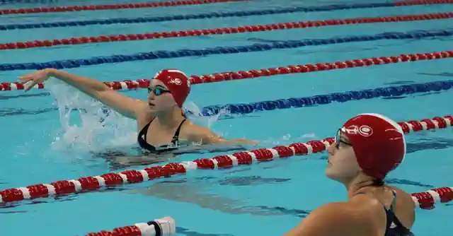 Swimmers splashing in the pool at the center. (However, this phrase seems to combine a few different ideas and may not provide clear information individually). To clarify it, lets break down the phrases into separate, more manageable parts and then craft a description for each part:How to improve my personal finances: This could refer to multiple elements such as saving strategies, investments, reducing unnecessary spending, creating a budget etc. A visualization can include a person in front of a laptop with different financial graphs going upwards, indicating growth and improvement of their financial situation (as provided above).How to improve my drawing skills: This likely refers to practicing and using various resources such as classes or online lessons. An image representing this could be Hand drawing in a sketchbook with pencils and tutorials around which shows the person actively engaged in practicing, possibly following along with written steps or video guides (provided above).Programmers are the future: The phrase suggests that programmers will play an increasingly important role in our technological society. An image of a group of programmers working in front of futuristic computers can serve as a visual representation for this concept, evoking progress and evolution in technology (also provided above). These descriptions are designed to provide immediate understanding based on the key ideas in each phrase, capturing important elements like people involved, their actions or tools used, and/or the context.