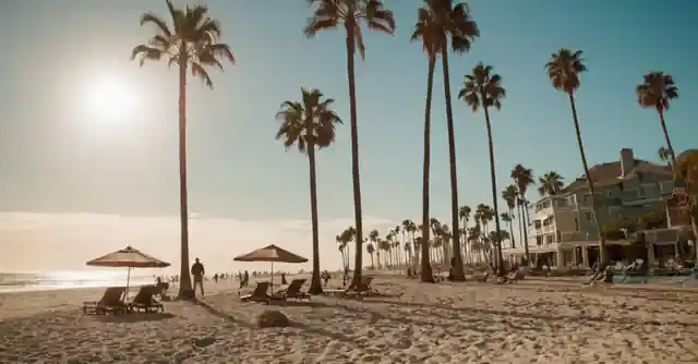 Sketch representing the unique beachfront characteristics at Beach Coronado in San Diego with palm trees and sunbathing figures.