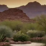 ¿Quieres saber más sobre Chandler, Arizona? ¡Aquí te contamos todo!