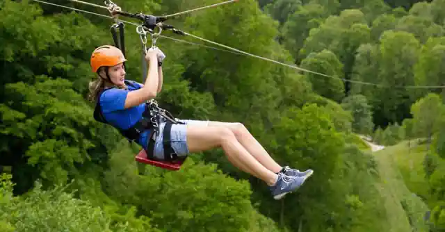 Thrill ride zipline in the natural beauty of Christy Cove Park.