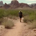 Qué actividades puedes disfrutar en Desert Arroyo Park en Mesa