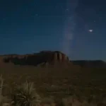 Espectáculo de Rapaces en Desierto de Arizona