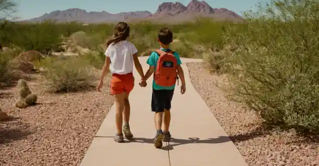 Kids at the Desert Sky Park in Gilbert engaging in desert adventures like hiking and nature trails.