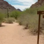 Ruta de senderismo fácil para niños en Phoenix, AZ