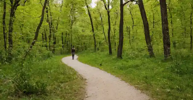 Visitor enjoying nature trail in Eldorastero Park.