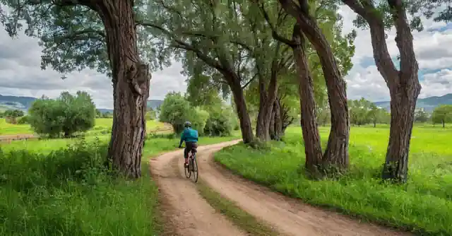 A panorama de la zona verde emeralda con montañas, árboles y senderos junto a prados rodeados de bicicletas para niños.