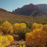 Dónde encontrar los mejores paisajes otoñales en Arizona