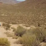Conoces el Parque Desierto Florence Ely Nelson en Arizona