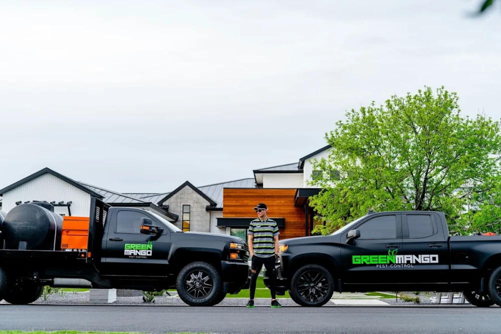 Green Mango Pest Control - Phoenix