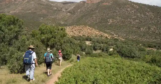 Una imagen que muestra una familia caminando por un sendero natural con montañas nevadas a lo lejos, mientras realizan la cerveza de jengibre y asisten a varios actividades al aire libre.Greer AZ ofrece numerosos paisajes cautivadores que atraen tanto a los turistas como a los residentes locales. Entre las mejores actividades en familia, se encuentra el excursionismo por senderos naturalmente escénicos: la belleza inherente de Greer permite pasar un día al aire libre disfrutando del aire fresco mientras te deslizas entre pinos, coníferas y robles que proporcionan sombra perfecta durante los calurosos meses de verano.La pesca también es una actividad popular en el área, ya sea uniéndose al club local de pesca competitiva o simplemente disfrutando del paseo tranquilo por las orillas del lago del condado. La cerveza de jengibre, que se hizo famosa como parte del folclore local, ofrece una experiencia gastronómica única y refrescante para completar la visita cultural a Greers quirky e historias fascinantes.Los visitantes también pueden hacer senderismo por la cercana Cuenca Verde Navajo o disfrutar de múltiples parques estatales que ofrecen un paisaje deslumbrante y posibilidad para todos los tipos de exploraciones en familia. Añadiendo a esto, Greer también es rica en historia e historia nativa americana, con una serie de sitios arqueológicos alrededor del condado que atestiguan la ocupación humana antigua en el área.<h2>Consejos para llevar un paseo familiar memorable a los Bosques Blancas</h3><p>.