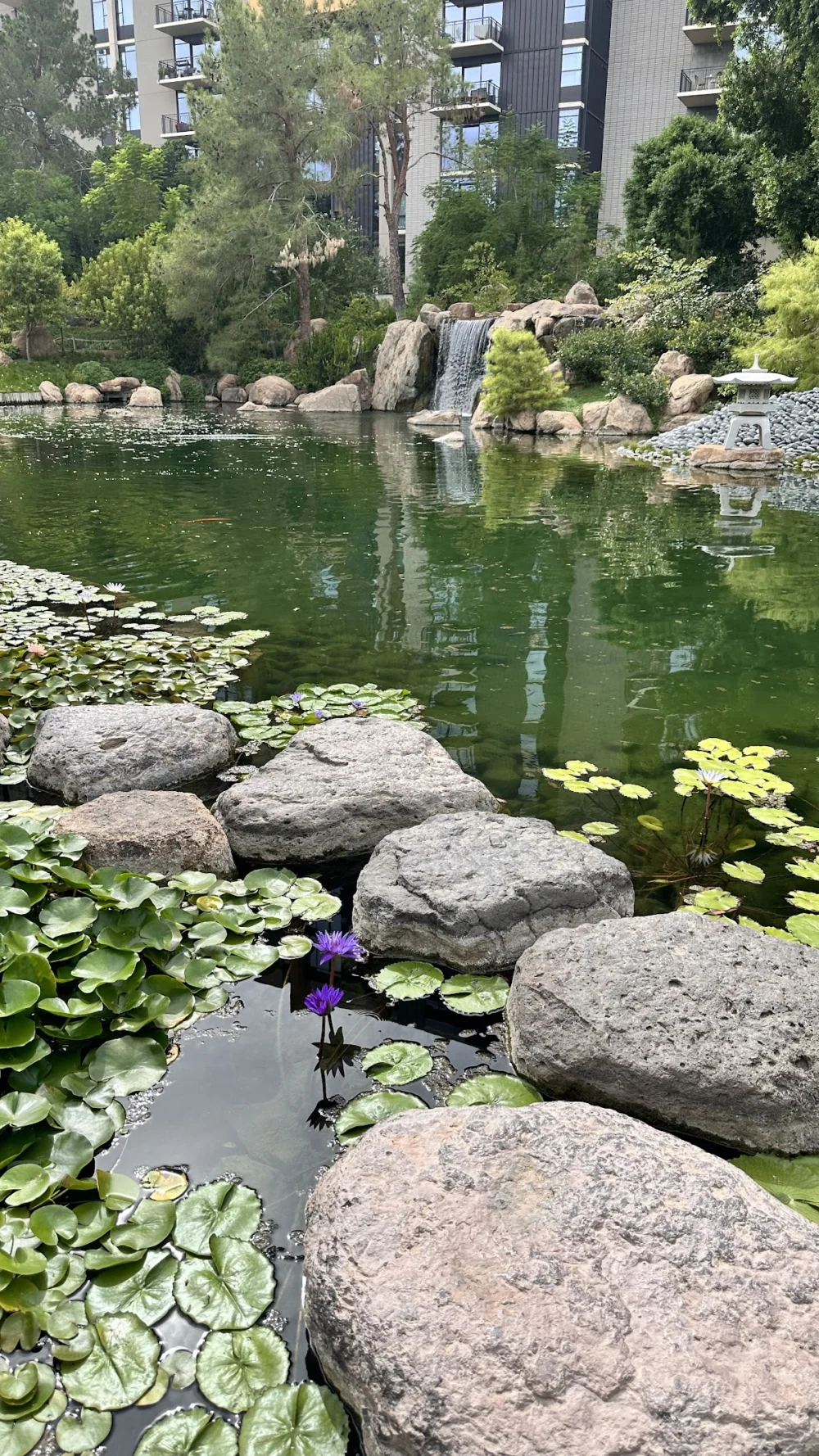 Japanese Friendship Garden of Phoenix