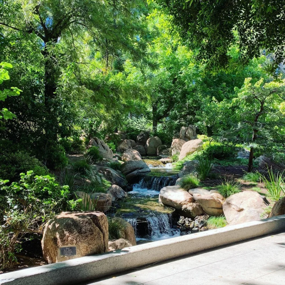Japanese Friendship Garden of Phoenix - 3