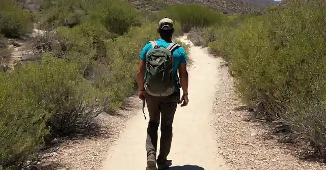 Trail map and a hiker exploring the scenic paths in Baja Nature Trail at McD[b]owell Sonor[a]n Preserve.