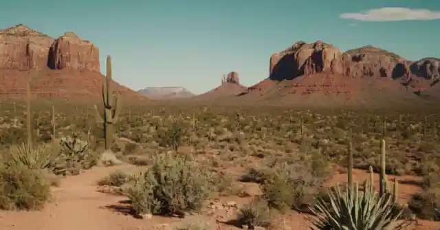 A textbook titled Living in Arizona: Essential Information with the American Southwest as its backdrop.