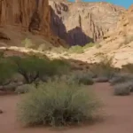 Descubre Moon Valley Park en Phoenix