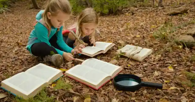 Children exploring an educational outdoor trail with books, magnifying glasses, and nature art supplies scattered on the ground.