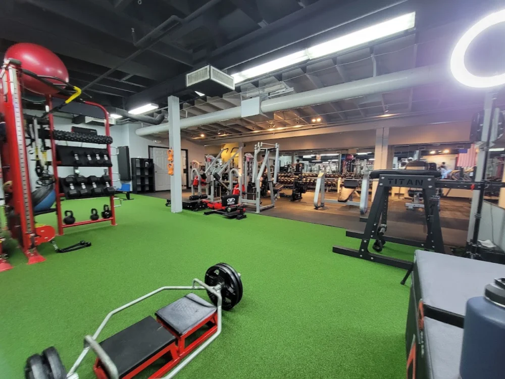 MUSCLETOPIA USA