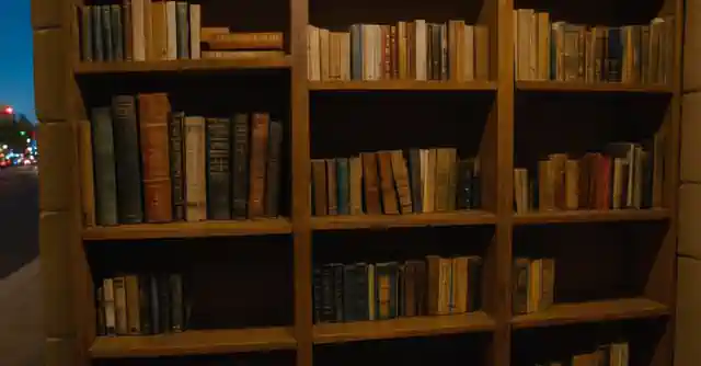 A community leader setting up free miniature libraries in the city of Phoenix.