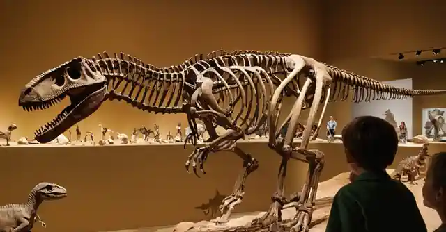 A family enjoying Arizona State Museum in Phoenix with kids exploring dinosaur fossils.(Note: This brief description assumes that the article Actividades familiares divertidas en Phoenix suggests visiting the Arizona State Museum, which is a location well-suited for both adults and children interested in science, history, and family activities.)