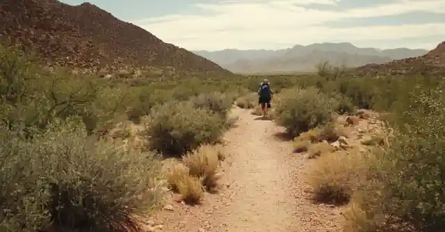 Guitarist walking on designated paths in the East Side Trail of Guadalupe with a stroller.