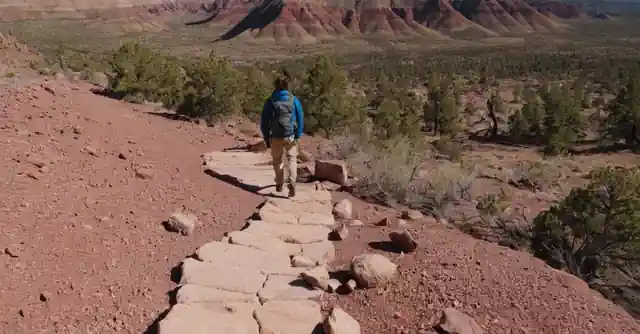 Hiker on the Petrified Forest Pathway showcasing notable views of Picture Canyon in Flagstaff.