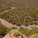 Ruta del Pinnacle Peak Summit en Phoenix para niños