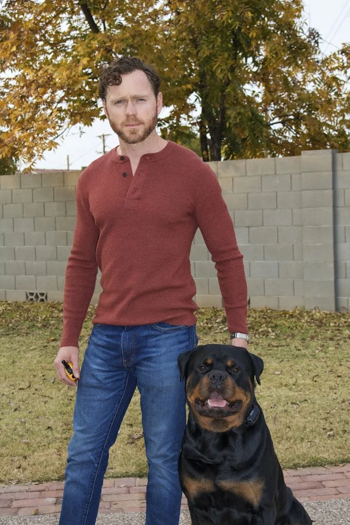 Rob's Dogs