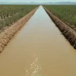 Cuáles son los pros y contras de vivir en Texas o Arizona