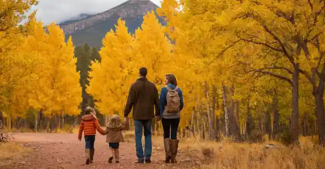 Family enjoying colorful fall scenery in Flagstaff under autumn foliˈegues.