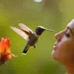Experiencia en Santuario de Colibríes en Tucson
