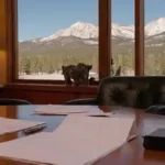 Desafíos al comprar una casa en Flagstaff, Arizona